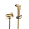 Antique Brushed Gold Douche Kit Hand Held Bidet Sprayer