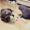 Interactive Pet Toys