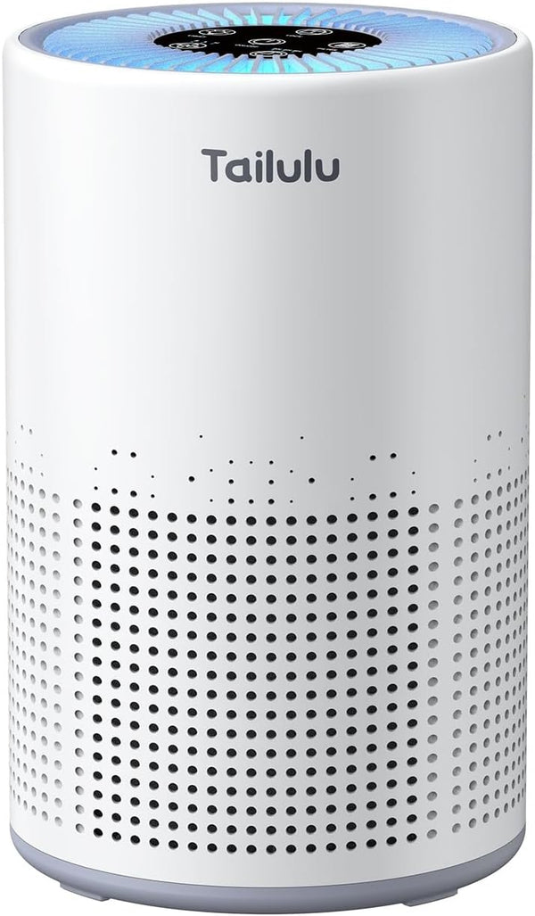 HEPA Air Purifier