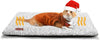 Soft Pet Bed