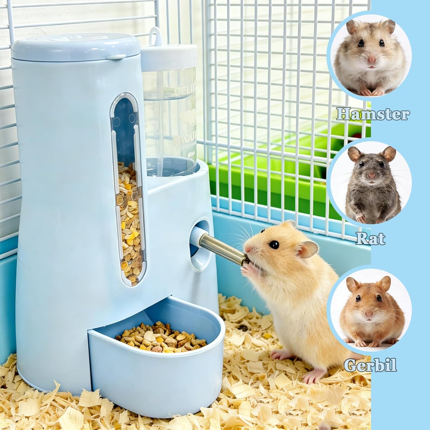 Automatic Pet Feeder