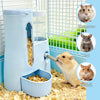 Automatic Pet Feeder