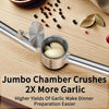 5-in-1 Stainless Steel Garlic Press & Mincer – Heavy Duty, Large