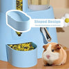 Automatic Pet Feeder