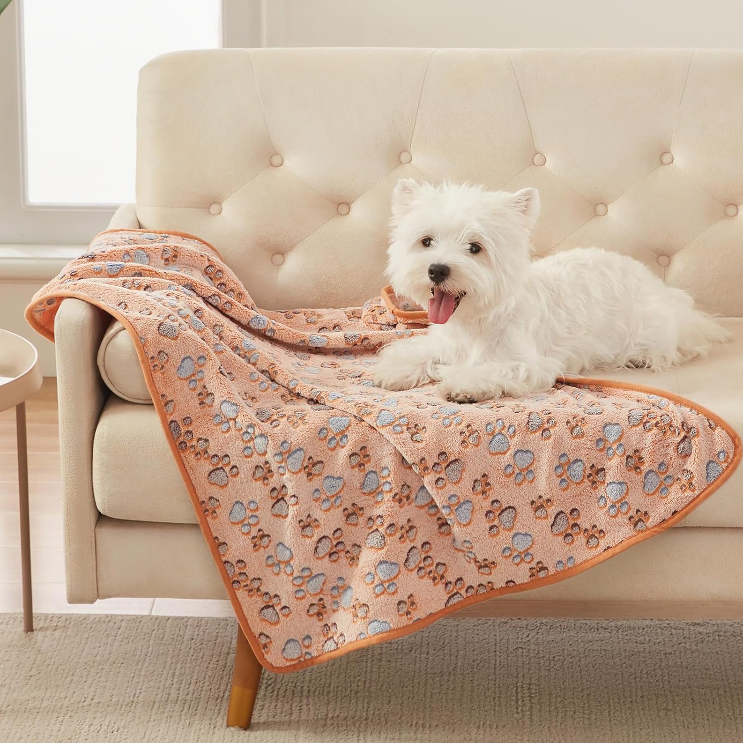 Luciphia Soft Fleece Pet Blanket (23×16 in)