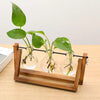 Swing Wooden Stand Hydroponic Plant Container Glass Vase